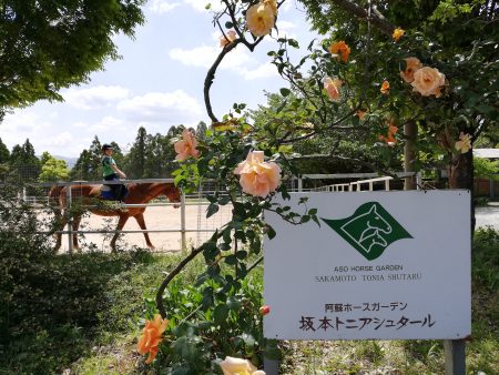 坂本トニアシュタール看板からの馬場