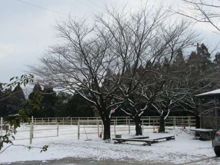 馬場　雪景色